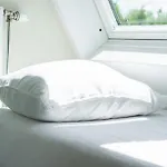 Vakantiehuis Noordwijk *