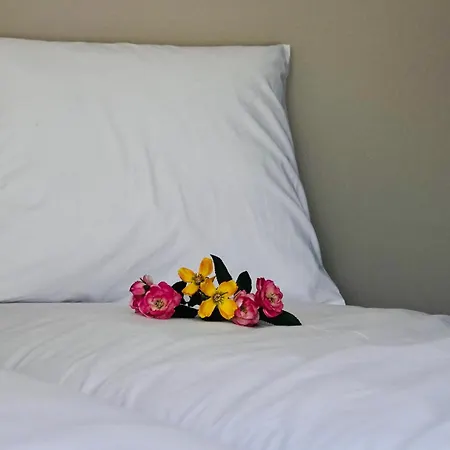 Vakantiehuis Noordwijk *