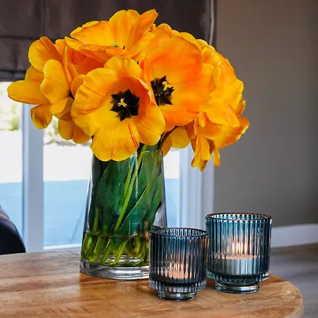 Vakantiehuis Noordwijk 펜션 노르트베이크