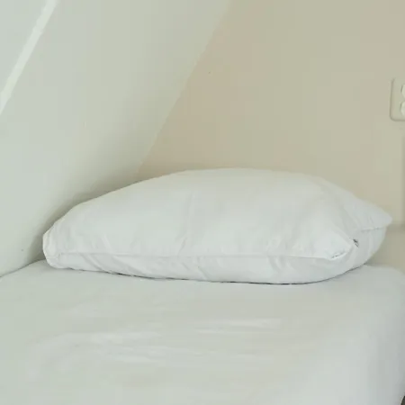 Vakantiehuis Noordwijk * Noordwijk
