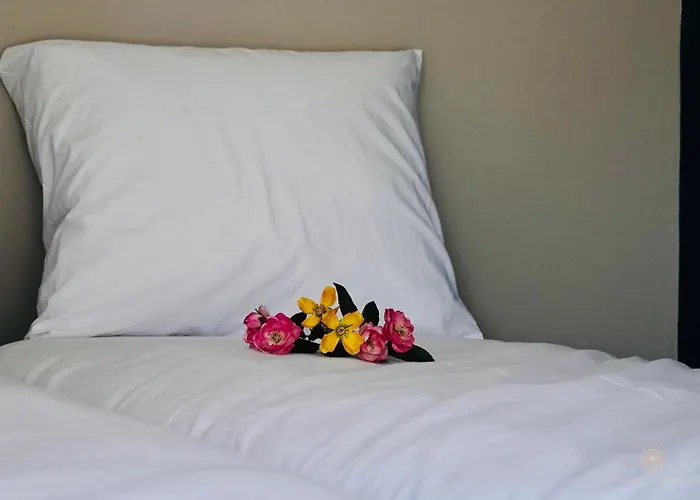 Vakantiehuis Noordwijk *