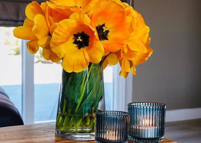 Vakantiehuis Noordwijk Holiday home Noordwijk